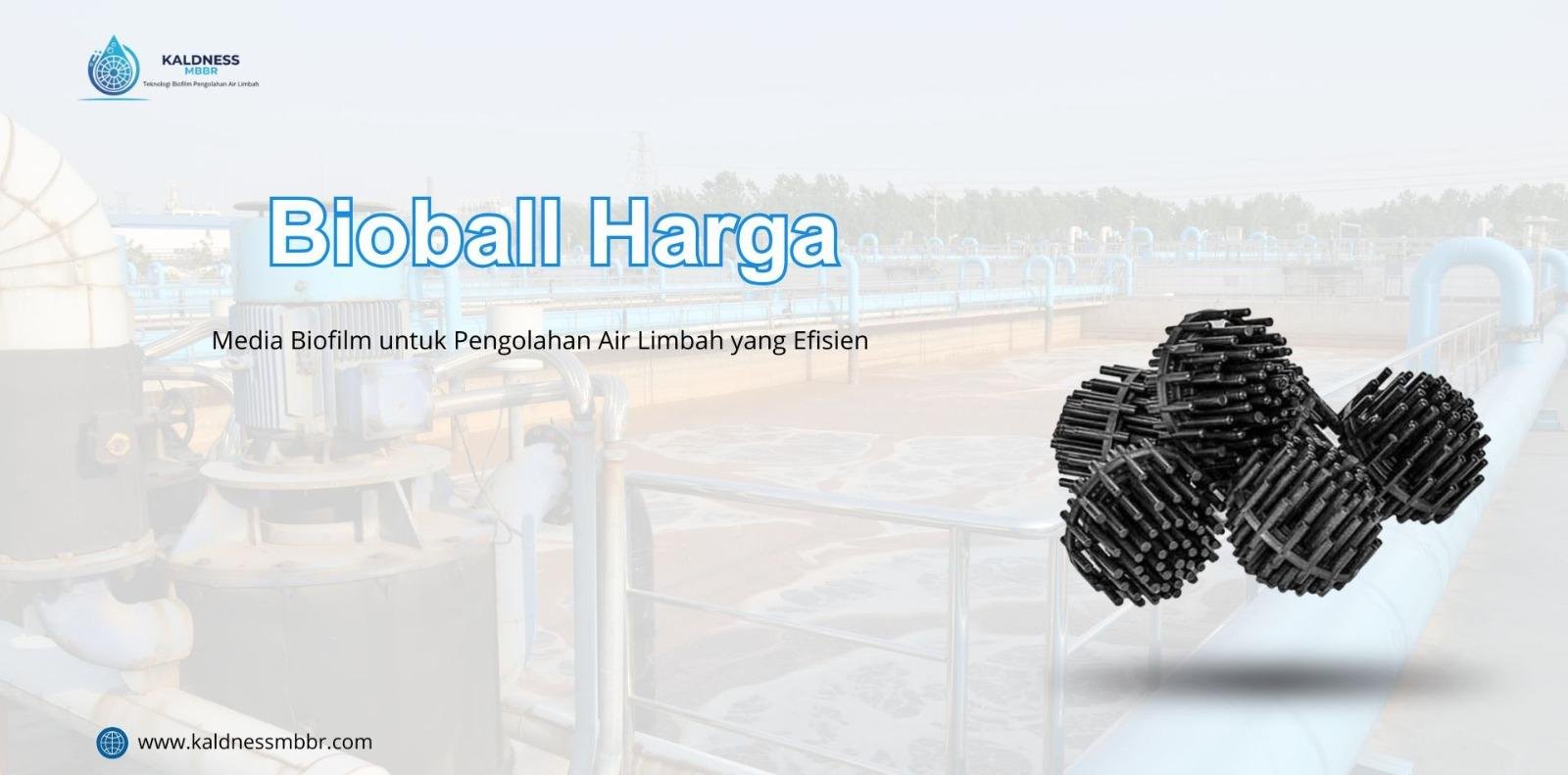 Bioball Harga